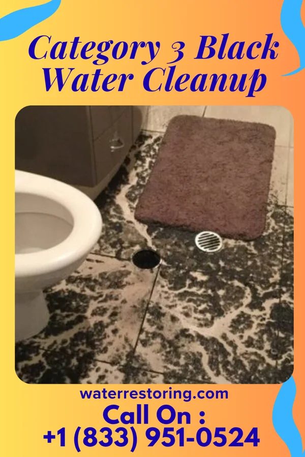 Category 3 Black Water Cleanup in Point Venture, TX