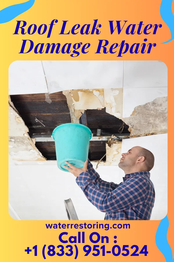 Roof Leak Water Damage Repair in Point Venture, TX